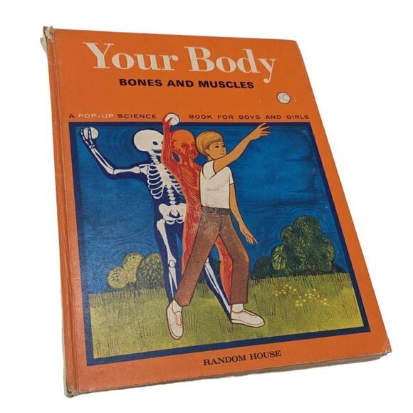 Vintage Your Body Bones And Muscles Random House‎ Science Pop Up Book - Picture 1 of 4